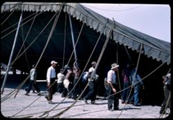 Ringling Circus at Chicago