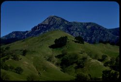 Mount St. Helena beyond green foot hills