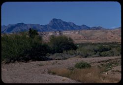 Southeastern Nevada near Glendale Mormon mountains in distance