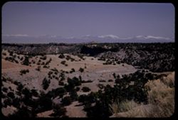 View down a Bandelier N.M. canyon toward snow-capped Sangre de Cristo range. New Mexico.