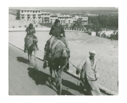 Roy W. and Peg Howard on camels