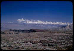 Snow-crowned Panamint Range seen from Cal. Hwy 190 40 mi. S.E. of Lone Pine. Calif.