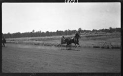 Race Horses, fairground tracks, June, 1911