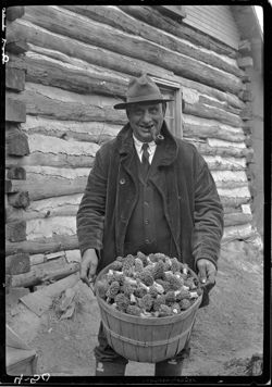 Man with basketful of mushrooms, Pokagon Park