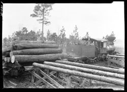 Cabbage head locomotive and logs, near turpentine still