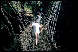 Kolahun monkey bridge