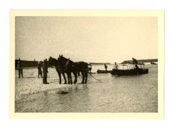 Horses towing boats