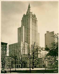 New York Life Insurance Co. Bldg. - Detail