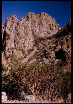 High rock face of Lost Mine Peak Big Bend Nat'l Pk. Texas Cushman