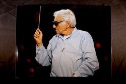 Bernstein Sunglasses Photograph