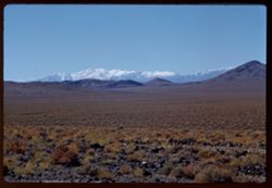 Snow-capped mountains S.W. of U.S. 95 south of Mina. Nevada.
