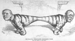 The Elastic Democractic (Deformed) Tiger