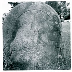 VAE0886-001736.tif