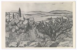 buildings of town partially visible behind plants., Item 74. Drawing of rocky hillside with cactus and other plants