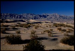 Sand Dunes at Stovepipe Wells - Death Valley Callifornia.