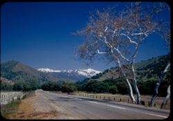 Palm Sunday. Snow-capped high Sierra seen up the road to Sequoia Nat'l Park.