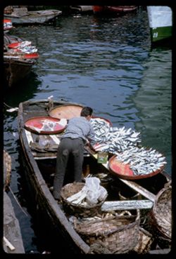 Fish for sale Boat below Galata Bridge - Golden Horn
