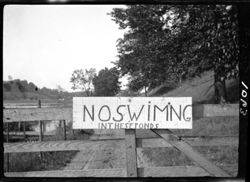 "No Swimming" sign fish pond