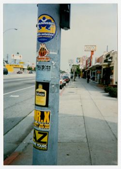 Light pole with promotional flyers for six different products