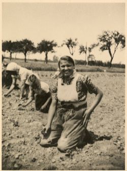 Woman in the fields